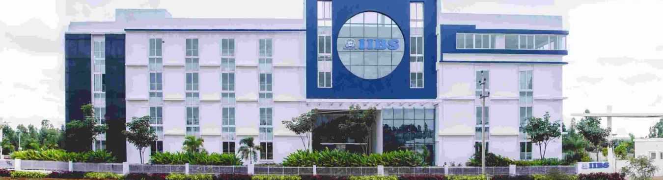 International Institute of Business Studies