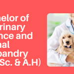 Bachelor of Veterinary Science and Animal Husbandry (B.V.Sc. & A.H): A Comprehensive Guide to Animal Healthcare Education