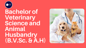 Read more about the article Bachelor of Veterinary Science and Animal Husbandry (B.V.Sc. & A.H): A Comprehensive Guide to Animal Healthcare Education